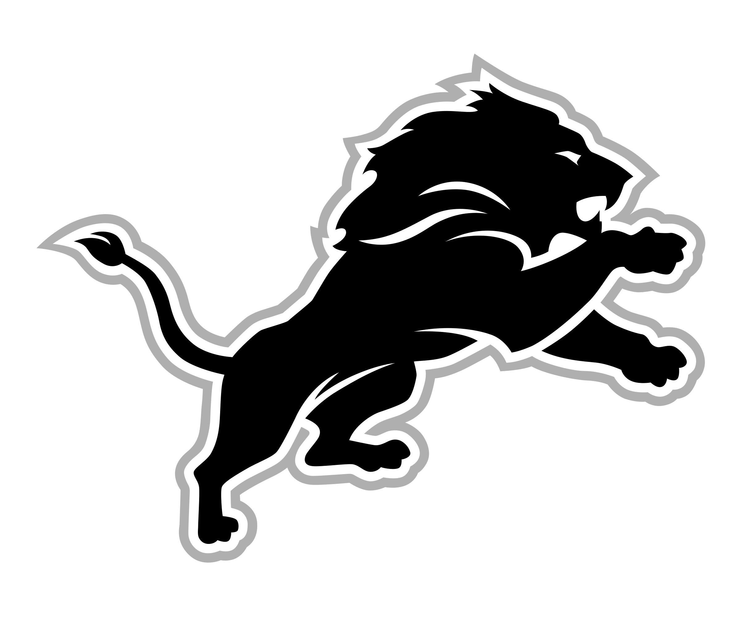 Detroit Lions